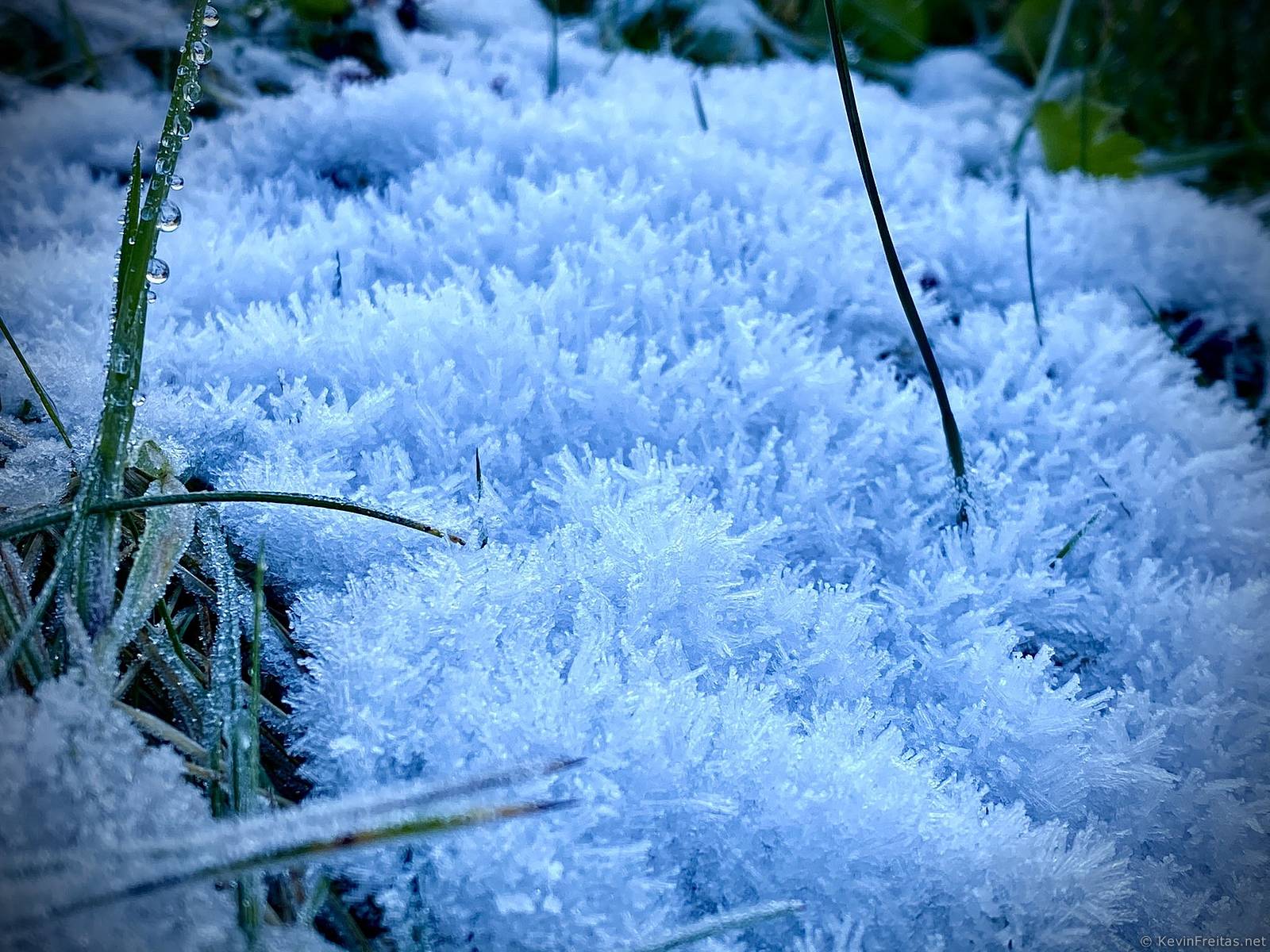 Spikes of frost on grass. #wawx | High Point Pond Park | wawx